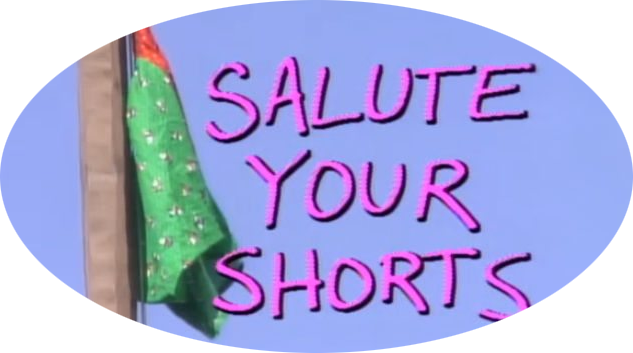 Salute Your Shorts