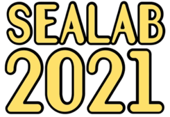 Sealab 2021 DVD Box Set 90sDVDs